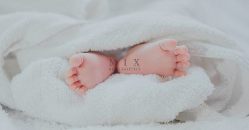 Giới thiệu về BabyBoom